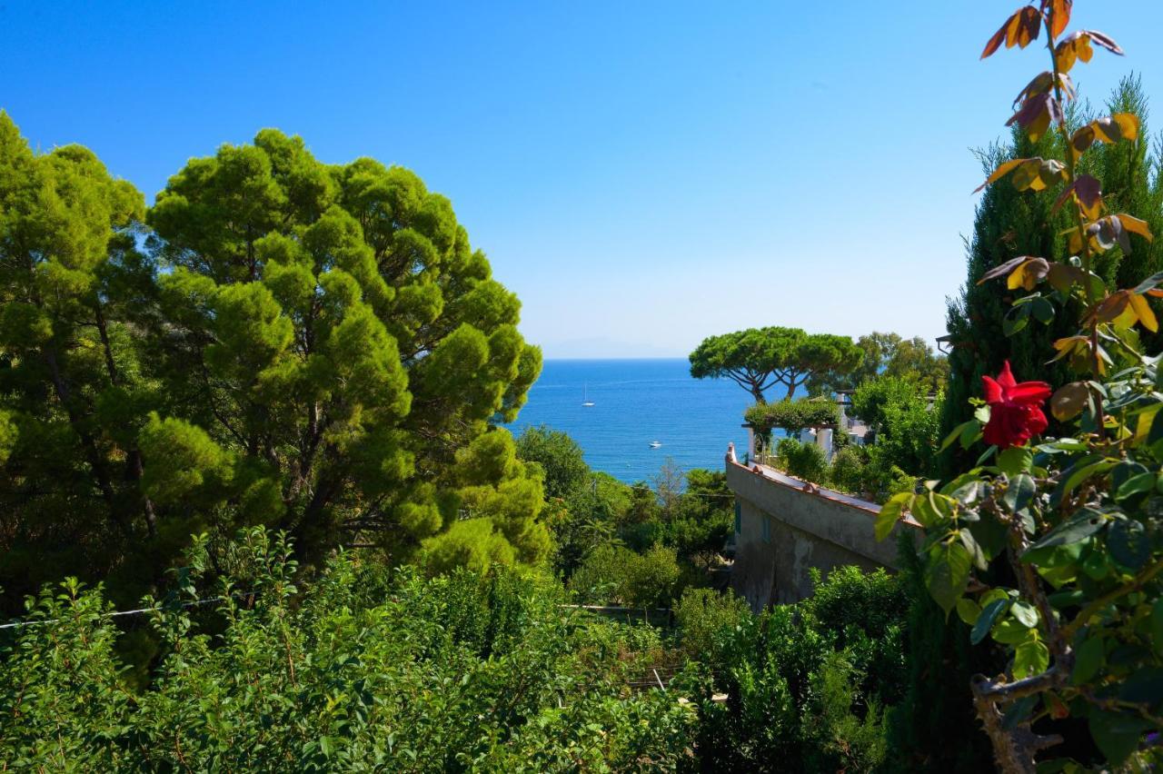 Hotel Parco Cartaromana Ischia Extérieur photo