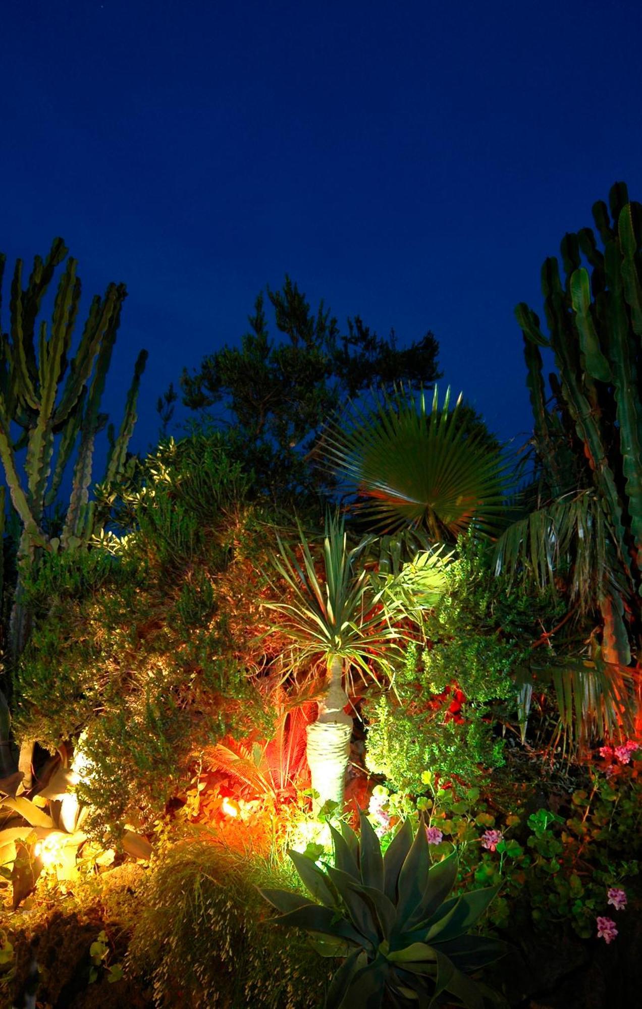 Hotel Parco Cartaromana Ischia Extérieur photo