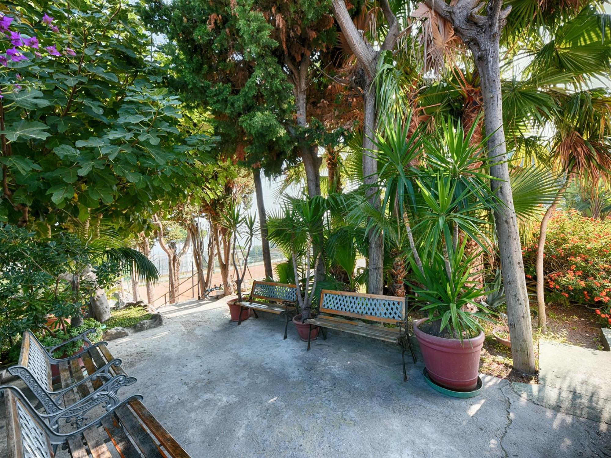 Hotel Parco Cartaromana Ischia Extérieur photo